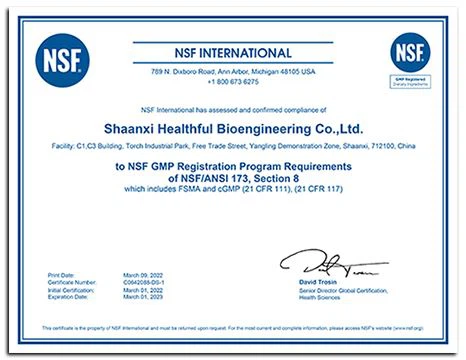 cGMP Certificate (Plant 2)
