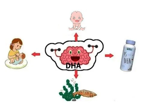 DHA function