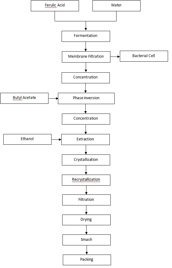 Flow Chart