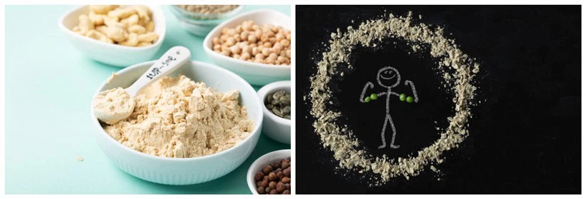 Pea Protein Isolate Powder Pea Protein Isolate Powder