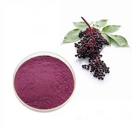 Elderberry ekstrakti kukuni